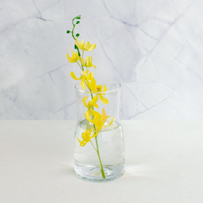 Iridescent Carafe Glass Vase Vases June Trading Clear Glass  