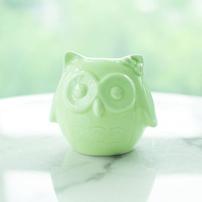 Owl Ceramic Pot For Plants Planters June Trading   
