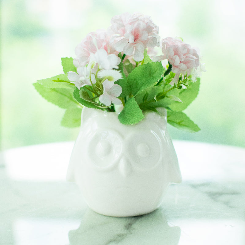 Owl Ceramic Pot For Plants Planters June Trading   