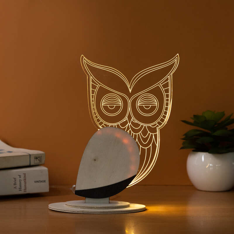 Drowsy Owl Wooden Acrylic 3D Light 3D Lights June Trading   