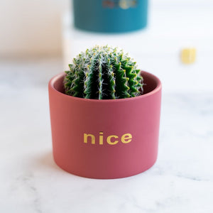 Bold Minimalist Planter Planters June Trading   