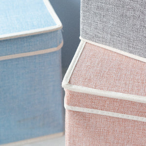 Soft-Hue Foldable Storage Organizer Basic Organisers ERL   