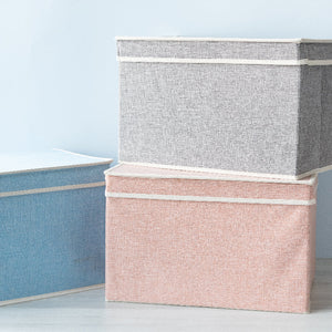 Soft-Hue Foldable Storage Organizer Basic Organisers ERL   