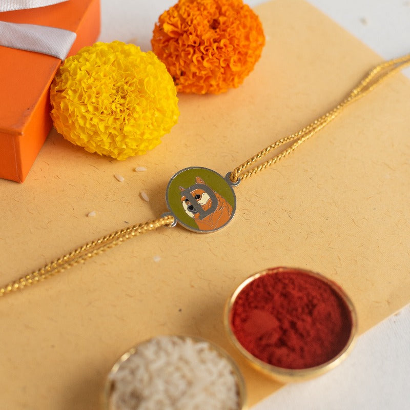 Doge Coin Rakhi Rakhis June Trading   