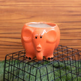 Cute Elephant Planter - Hand Painted Mini Resin Pot Planters June Trading Dark Orange  