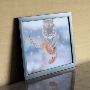 Snowy Tiger - 3D Photo Frame Photo Frames June Trading   