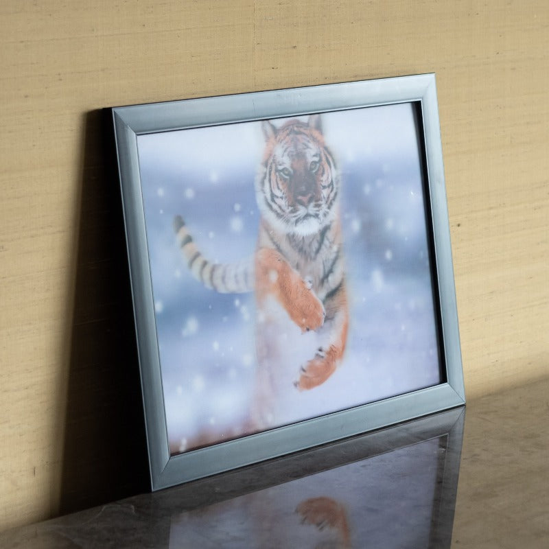 Snowy Tiger - 3D Photo Frame Photo Frames June Trading   