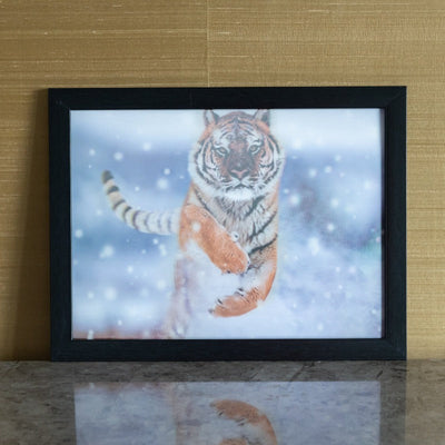 Snowy Tiger - 3D Photo Frame Photo Frames June Trading   