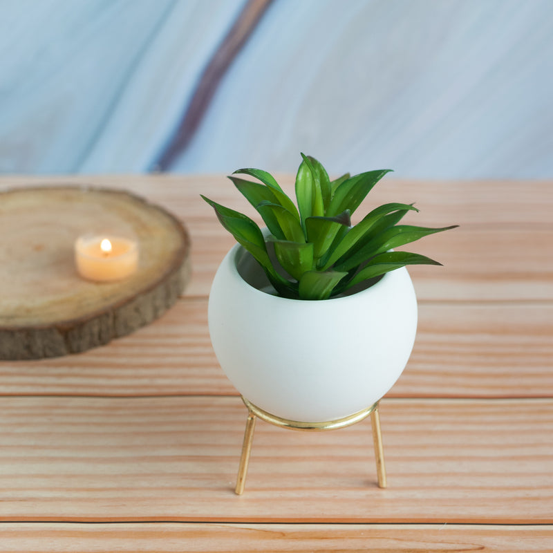 Circular Vase With Gold Metal Stand Vases June Trading   