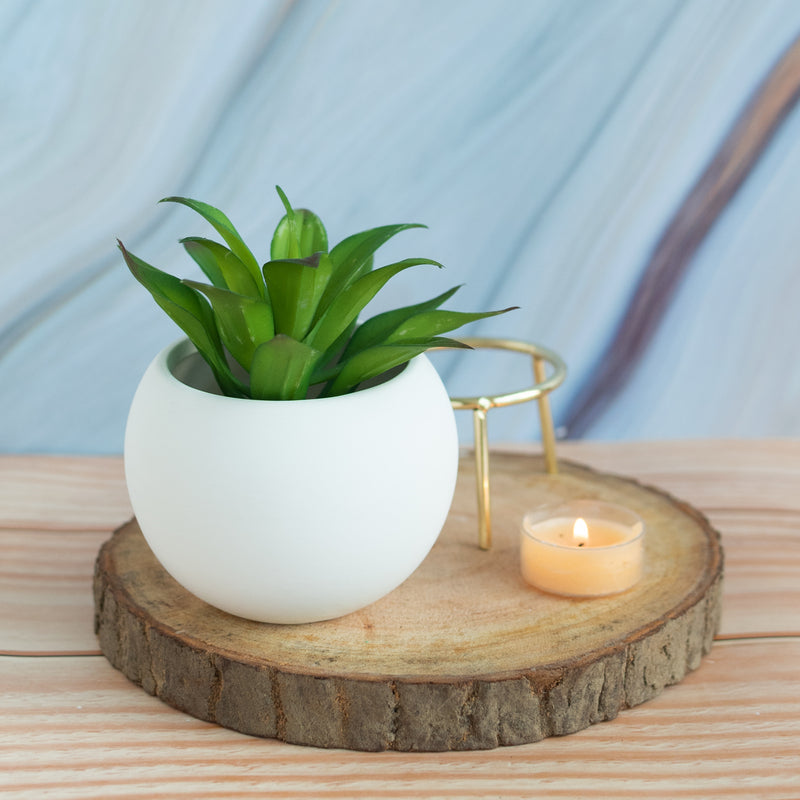 Circular Vase With Gold Metal Stand Vases June Trading   