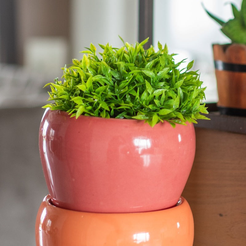 Basic Oval Planter - Hand Painted Resin Pot Planters June Trading   