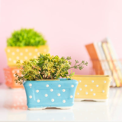 Small Rectangle Polka Dot Planter - Hand Painted Resin Pot Planters June Trading   