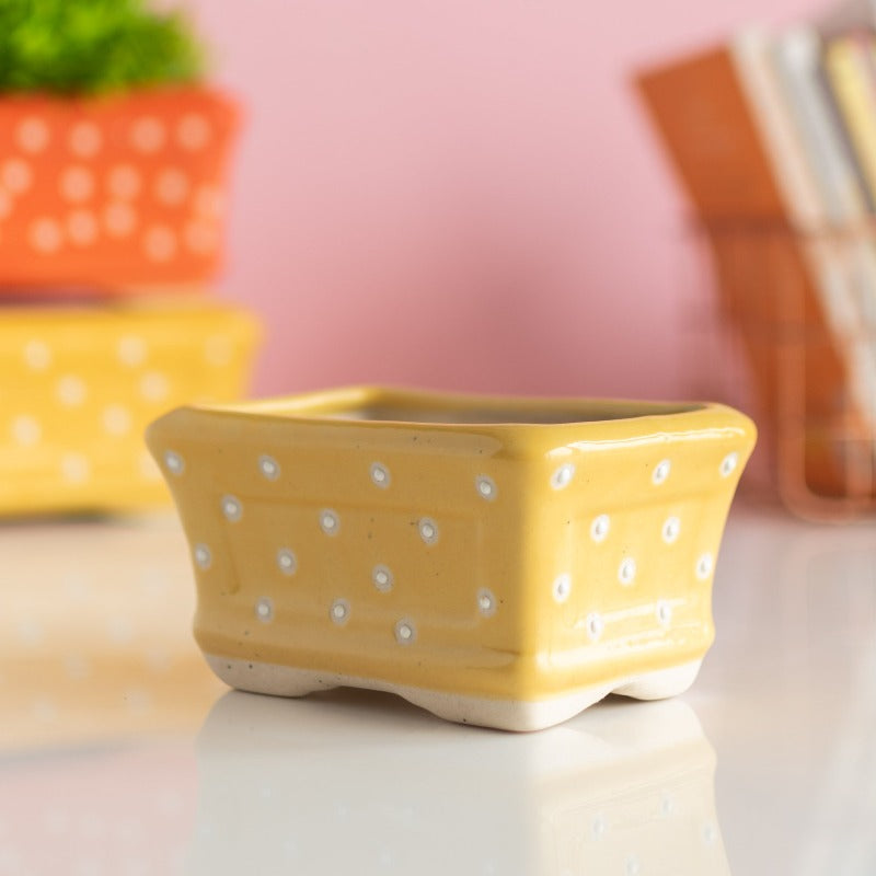 Small Rectangle Polka Dot Planter - Hand Painted Resin Pot Planters June Trading   
