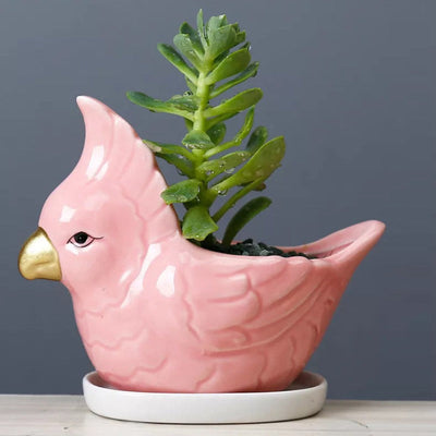 Parrot Ceramic Pot For Plants Planters June Trading   