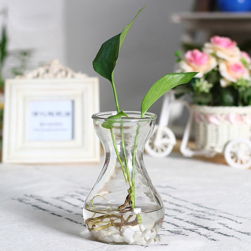 Glass Beaker Shaped Vase Vases June Trading   