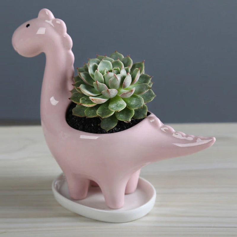 Dinosaur Ceramic Pot For Plants Planters June Trading   