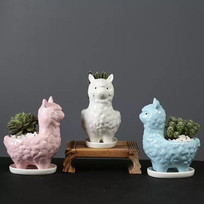 Llama Ceramic Pot For Plants Planters June Trading   