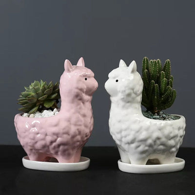 Llama Ceramic Pot For Plants Planters June Trading   