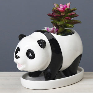 Panda Ceramic Pot For Plants Planters June Trading   