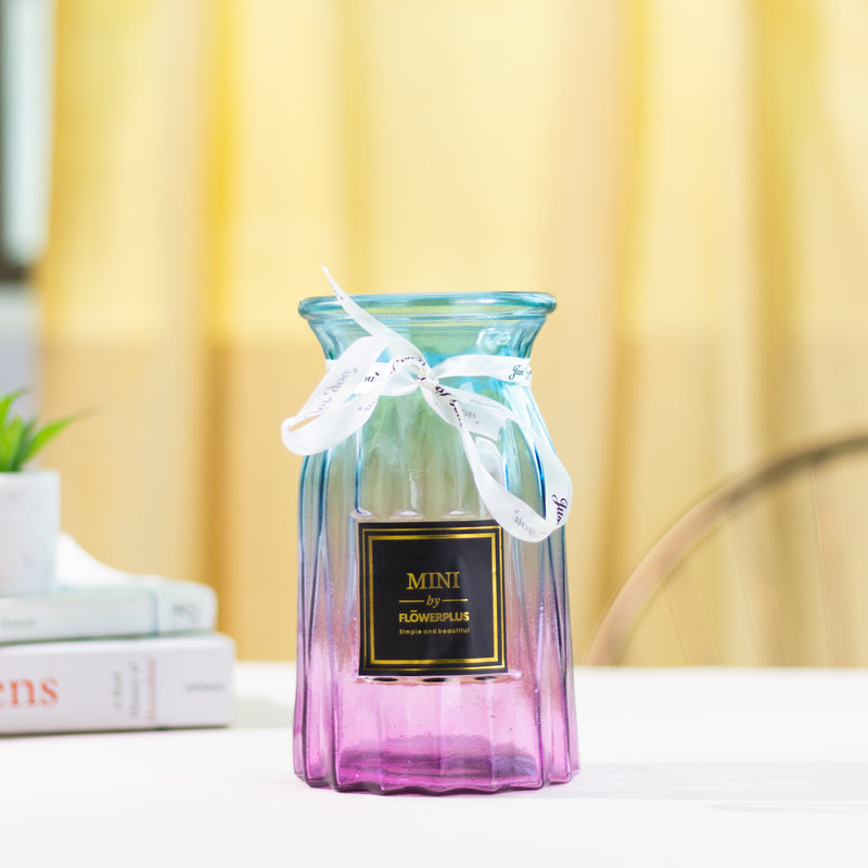 Ombre Modern Glass Vase Vases June Trading Dual Tone Ombre  