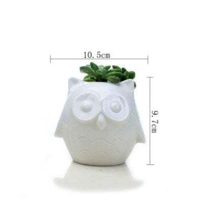 Owl Ceramic Pot For Plants Planters June Trading Frost White  
