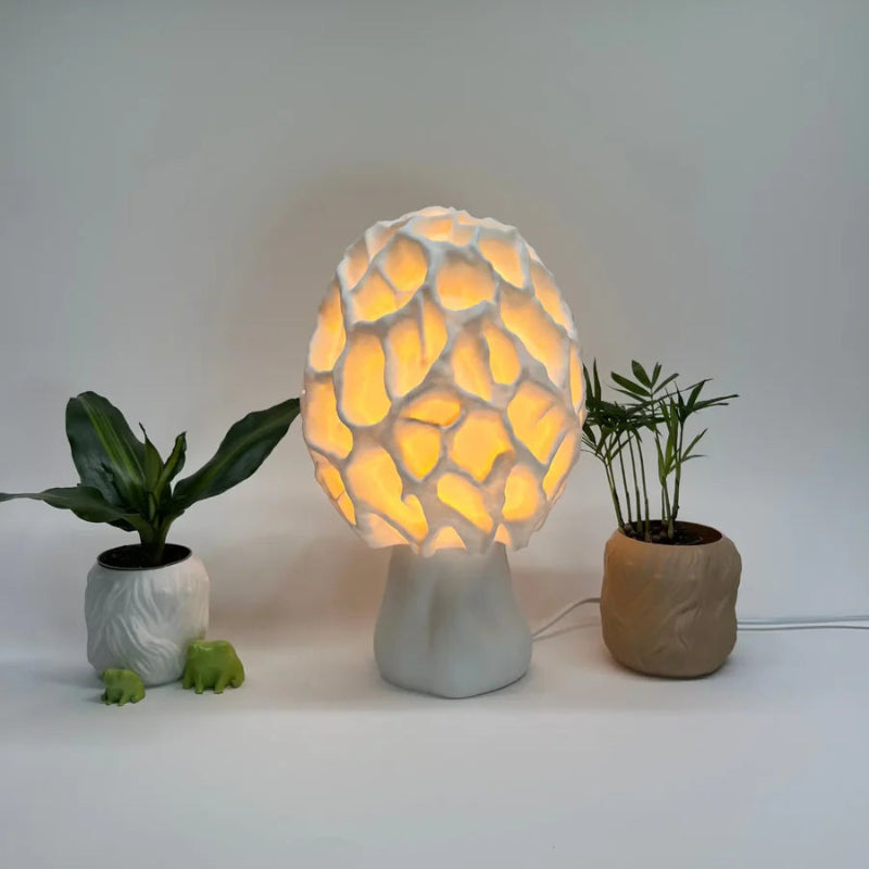 Esculenta Fungus Lamp (Morel Mushroom Lamp)