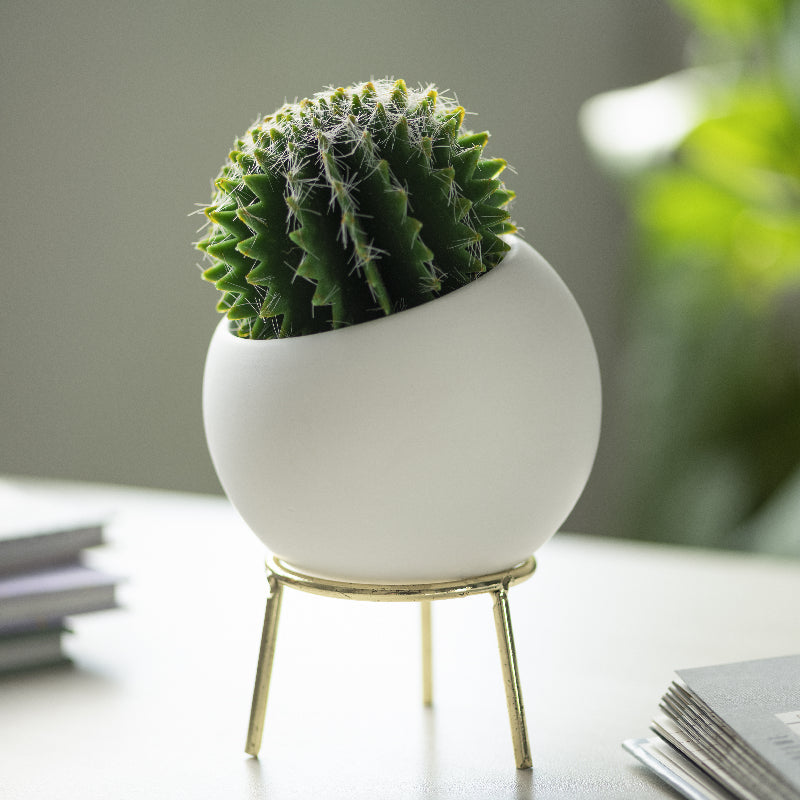 Circular Vase With Gold Metal Stand Vases June Trading   