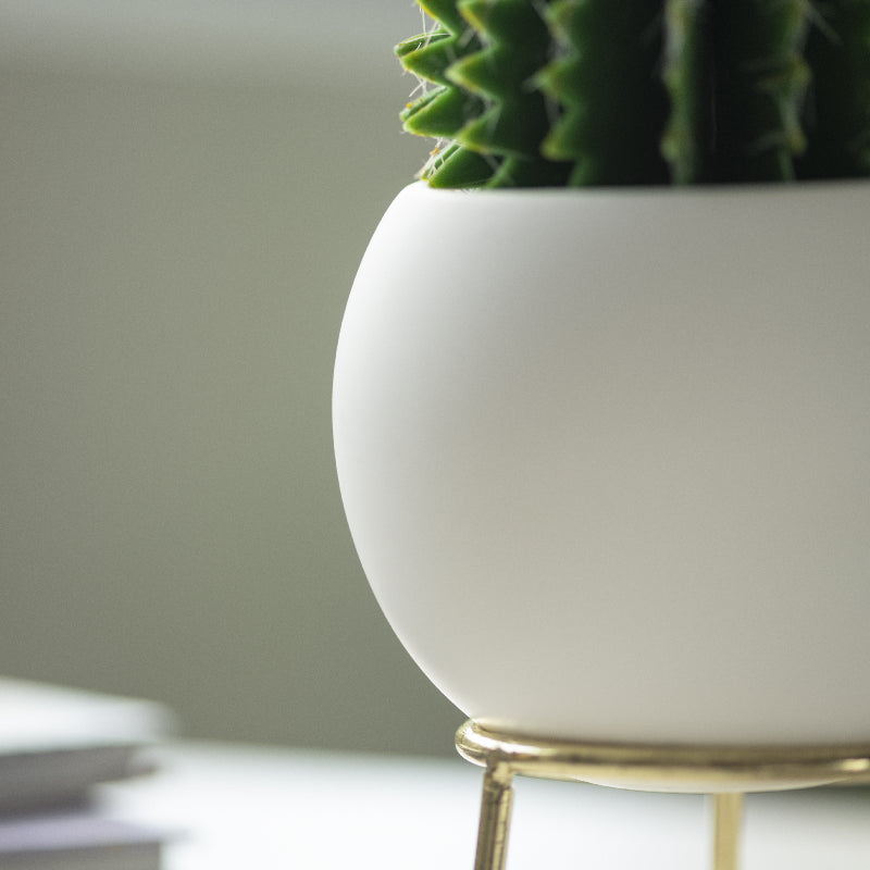 Circular Vase With Gold Metal Stand Vases June Trading   