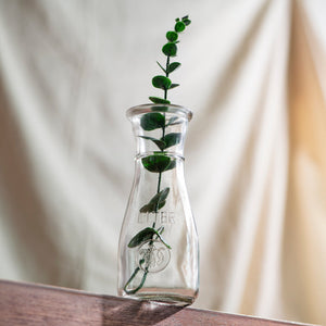 Minimalism Redefined Glass Vase Vases June Trading   