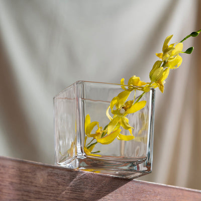Minimalist Square Clear Glass Vase Vases June Trading   