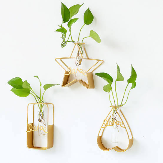 Heart Test Tube Planter Planters Coral Tree   