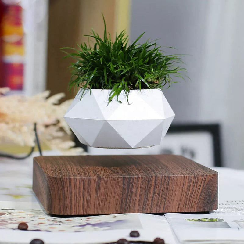 Magnetic Levitating Bonsai Geometric Pot With Wood Grain Base Levitating June Trading   
